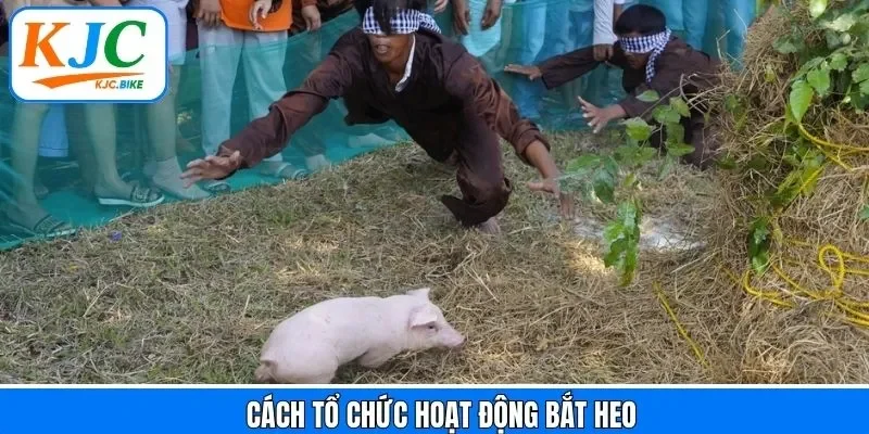 Khám phá cách tham gia hoạt động giải trí thú vị