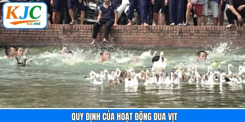 Quy tắc thi đấu và điều kiện chiến thắng của hoạt động đua vịt